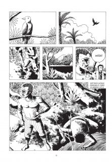 Angola Janga - plansza