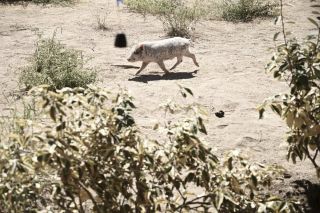 Bless This Mess sezon 2 odcinek 1