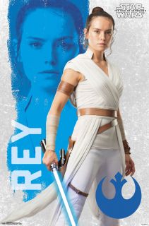 Skywalker. Odrodzenie - plakat