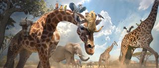 Król lew - szkic koncepcyjny