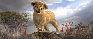 Król lew - szkic koncepcyjny