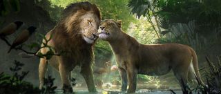 Król lew - szkic koncepcyjny