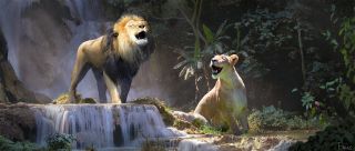 Król lew - szkic koncepcyjny