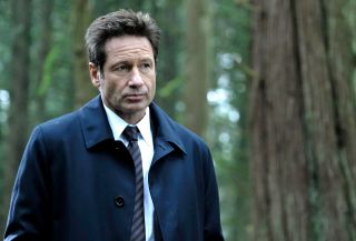 David Duchovny - Hulk