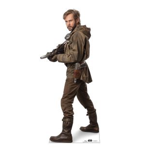 Skywalker. Odrodzenie - grafika