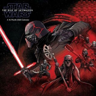Gwiezdne Wojny: Skywalker. Odrodzenie