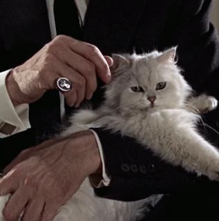 Pozdrowienia z Rosji