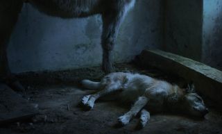 29. Byłam w domu, ale...