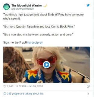 Ptaki Nocy - pierwsze opinie