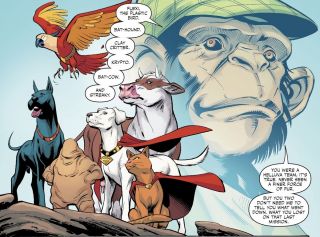 24. DC Super Pets
