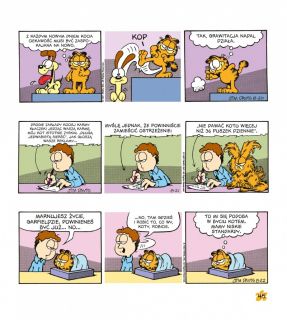Garfield. Tłusty koci trójpak. Tom 6 - plansza