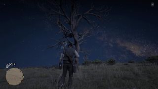 Red Dead Online - screeny