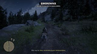 Red Dead Online - screeny