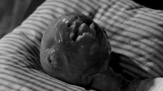 Głowa do wycierania