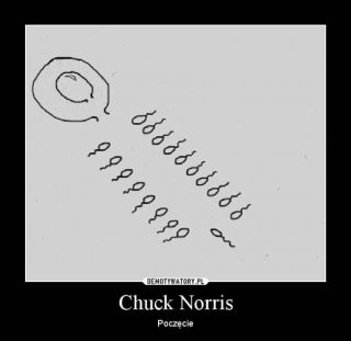 Chuck Norris memy