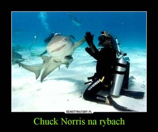 Chuck Norris memy