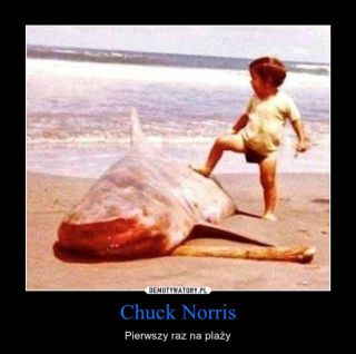Chuck Norris memy