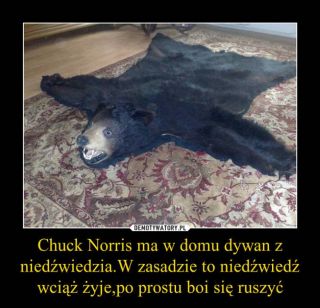 Chuck Norris memy