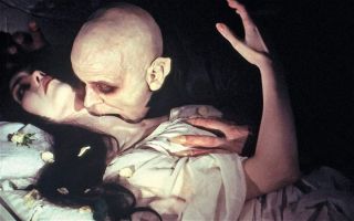 Nosferatu Wampir