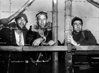 Stalag 17