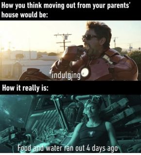 Avengers: Endgame - memy