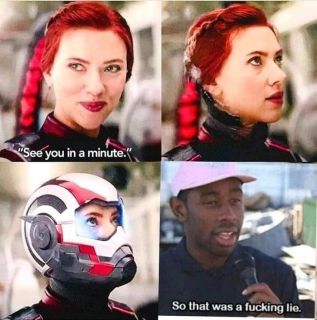 Avengers: Endgame - memy