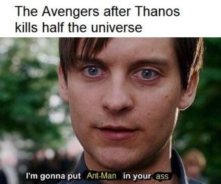 Avengers: Endgame - memy