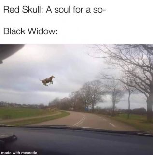 Avengers: Endgame - memy