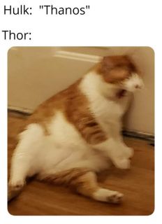 Avengers: Endgame - memy