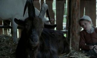 Czarownica: Bajka ludowa z Nowej Anglii