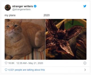 Plany kontra 2020 rok - memy