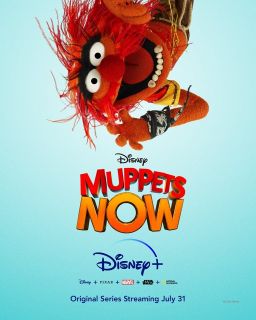 Muppets Now