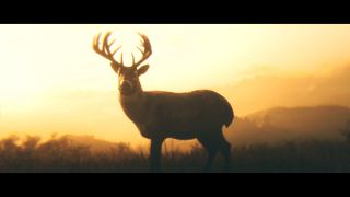 Śmierć Arthura Morgana. Można było spodziewać się, że główny bohater zginie, na co wskazywała jego nieobecność w grze z 2010 roku. Nikt chyba nie podejrzewał jednak, że będzie to tak odczuwalna strata. Morgan był naprawdę fantastycznym protagonistą, z którym gracz zżywał się przez tych kilkadziesiąt godzin w wirtualnym świecie 