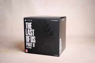 foto. Ravelart Violeta Muszyńska