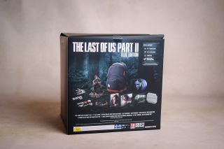 foto. Ravelart Violeta Muszyńska