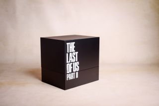 foto. Ravelart Violeta Muszyńska