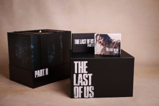 foto. Ravelart Violeta Muszyńska