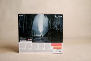 foto. Ravelart Violeta Muszyńska