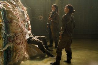 28. Anihilacja (2018)