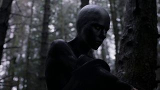 37. Pod skórą (2013)