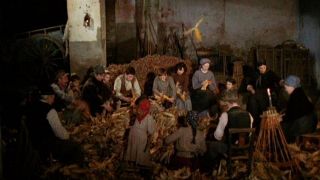 Drzewo na saboty (1978)