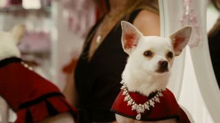 67. Cziłała z Beverly Hills (2008) – 40%
