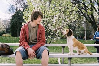 14. Ultrapies (2007) – 14%