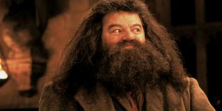 10. Rubeus Hagrid - twórca dokumentów przyrodniczych; 31 735 USD rocznie