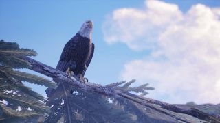 Tell Me Why - screeny z gry