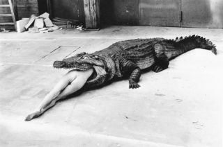 Helmut Newton. Piękno i bestia