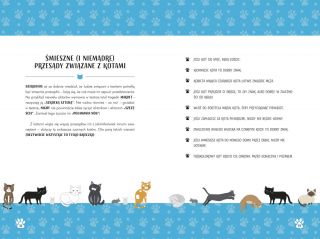 Opowieści o kotach, które rządziły światem - plansza