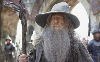 11. Ian McKellen - 253 pkt.