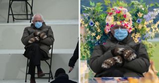 Bernie Sanders - memy