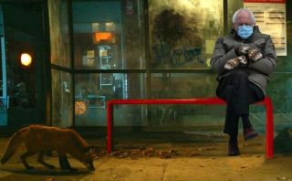 Bernie Sanders - memy